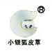 小银狐皮草小银狐皮草