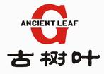 古树叶古树叶
