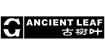 古树叶G-ANCIENT LEAF