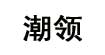 潮领潮领