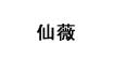 缤蔓BINMAN