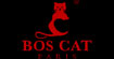 法国波士猫BOS CAT