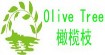 橄榄枝Olive Tree