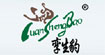 孪生豹孪生豹