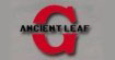 古树叶Ancientleaf