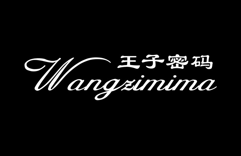 王子密码wangzimima