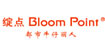 BloomPoint绽点BloomPoint绽点
