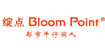 BloomPoint绽点