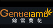 锦雪兰花gentlelamb