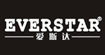 爱斯达EVERSTAR