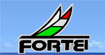 fortei富铤fortei富铤