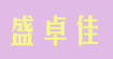 盛卓佳服装批发盛卓佳服装批发