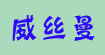 威丝曼WSM