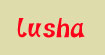 路莎服饰有限公司lusha