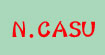 尼卡苏N.CASU