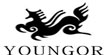 雅戈尔youngor
