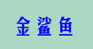 金鲨鱼QIONGYU
