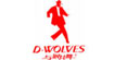 与狼共舞DANCING WOLVES