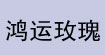 十字绣针孔鞋垫