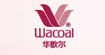 华歌尔Wacoal
