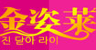 金姿莱jinzilai