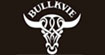 动感公牛bullkviebullkvie