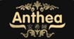 安希娅Anthea安希娅Anthea
