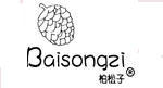 柏松子baisongzi