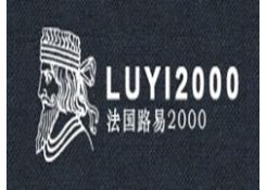 路易2000路易2000
