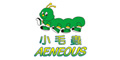 小毛虫aeneous