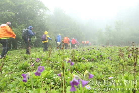 大家在湿冷的小雨中有序穿越林间草地，一路野花娇俏却顾不上欣赏。