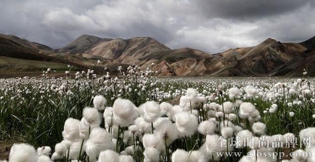 越南纺织业所需棉花严重依赖进口