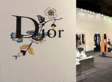 Dior 迪奥2015春夏成衣系列发布