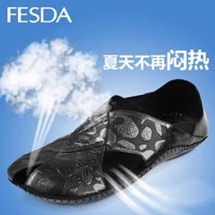 FESDA产品图