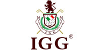 IGGIGG