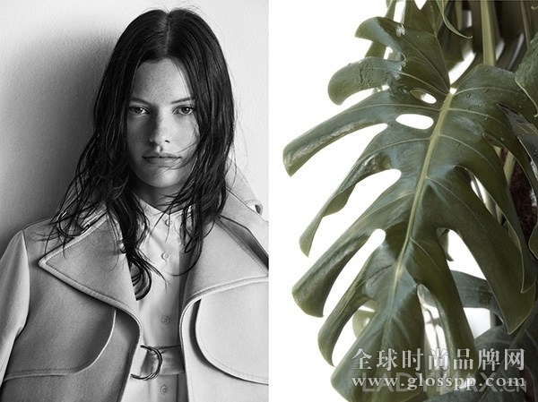 ZARA被指在广告大片和模特上全部复制Céline 