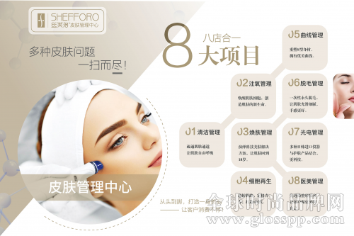 8大项目.jpg