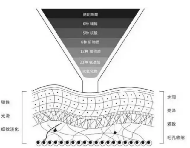 澶忓濡备綍淇濇姢镄偆 镞犻败灏氱编鏁村舰阍