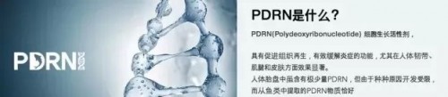 普丽兰婴儿针的由来
